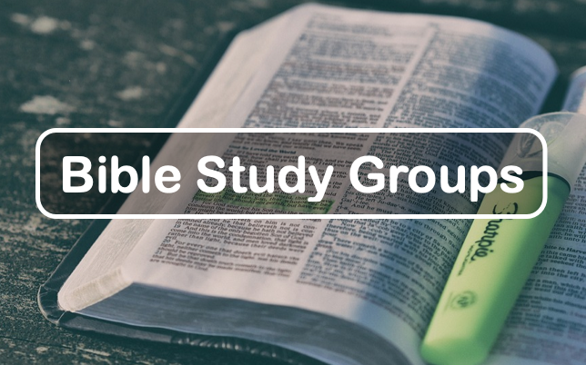 Bible-Study-Button